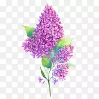 ˮ�ʻ��϶����ͼ-��װ��-������