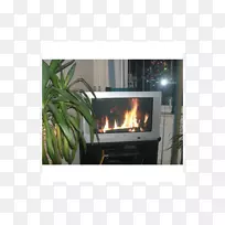 ľ¯���ý���ľ-������