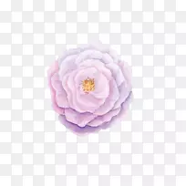 Ë®²Ê»×Ïɫˮ²Ê»»¨-¿ÕÈôÍø Ë®²Ê»×Ïɫˮ²Ê»»¨-¿ÕÈôÍø