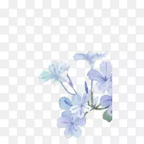 À¶É«Ë®²Ê»»¨Ë®²Ê»-¿ÕÈôÍø À¶É«Ë®²Ê»»¨Ë®²Ê»-¿ÕÈôÍø