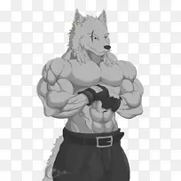 猫科动物-猫科动物灰狼猫-空若网 猫科动物-猫科动物灰狼猫-空若网