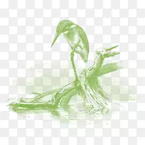 拉叶草/m/02csf-叶-空若网 拉叶草/m/02csf-叶-空若网