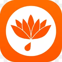 Nelumbo nucifera埃及荷花美好剪贴画-无边无际的空间-空若网 Nelumbo nucifera埃及荷花美好剪贴画-无边无际的空间-空若网