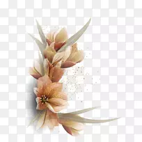 �������--����ͼƬ-������