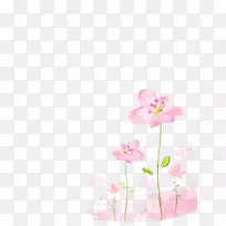 水彩画花粉画背景-空若网 水彩画花粉画背景-空若网