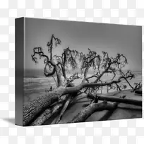 风景摄影黑白山水画艺术-空若网 风景摄影黑白山水画艺术-空若网