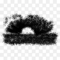 ��������Ǻ�ɫ��m-��-������