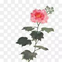 水印花水彩画免费-水彩画-空若网 水印花水彩画免费-水彩画-空若网