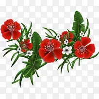 花.红色花卉装饰图案-空若网 花.红色花卉装饰图案-空若网