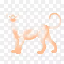 胡须猫犬科犬鼻子猫-空若网 胡须猫犬科犬鼻子猫-空若网