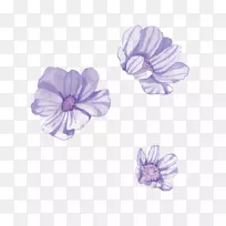 ˮ�ʻ�ˮ�ʻ���-������