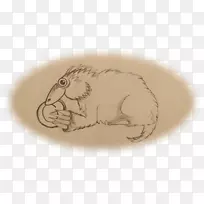 犬科动物鼻子字体-空若网 犬科动物鼻子字体-空若网