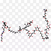 �ߵ���������.��-������