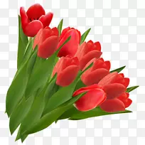 �����㻨��ɫ������-�����㻨��-������