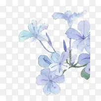 ˮ�ʻ����ٶ�����ˮ�ʻ���-������