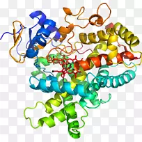 艺术身体珠宝有机体线剪贴画线-空若网 艺术身体珠宝有机体线剪贴画线-空若网