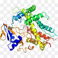 人体首饰有机体线剪贴画线-空若网 人体首饰有机体线剪贴画线-空若网