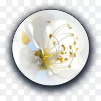 瓷花板-空若网 瓷花板-空若网