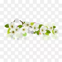 »¨°×É«ÆìÖÄ-»¨-¿ÕÈôÍø »¨°×É«ÆìÖÄ-»¨-¿ÕÈôÍø