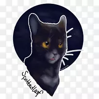 家用短毛猫鼻子猫-空若网 家用短毛猫鼻子猫-空若网