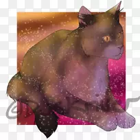 胡须猫狗鼻子动物-猫-空若网 胡须猫狗鼻子动物-猫-空若网