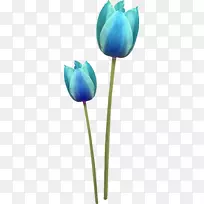 �������л�������-�̻�-������