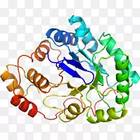 人体首饰有机体线剪贴画线-空若网 人体首饰有机体线剪贴画线-空若网