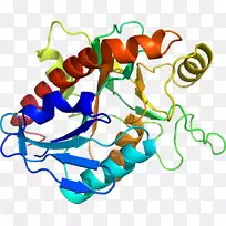 人体首饰有机体线剪贴画线-空若网 人体首饰有机体线剪贴画线-空若网