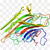 直线点植物茎夹艺术线-空若网 直线点植物茎夹艺术线-空若网