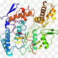 ������Ϊ�л����ߵ��������-������