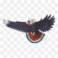 鹰嘴羽毛鹰-空若网 鹰嘴羽毛鹰-空若网