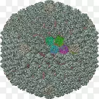 ÑòëÊ÷-¿ÕÈôÍø ÑòëÊ÷-¿ÕÈôÍø