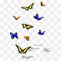 蝴蝶毛笔蝴蝶昆虫剪贴画蝴蝶-空若网 蝴蝶毛笔蝴蝶昆虫剪贴画蝴蝶-空若网