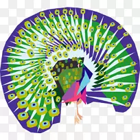 鸟孔雀动画剪辑艺术卡通木乃伊图片-空若网 鸟孔雀动画剪辑艺术卡通木乃伊图片-空若网