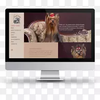 网页设计网页发展图形设计网页设计-空若网 网页设计网页发展图形设计网页设计-空若网