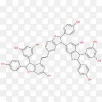 点角设计-空若网 点角设计-空若网