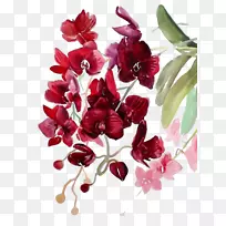 Ë®²Ê»Ë®²Ê£ºÏÊ»¨Ë®²Ê»À¼»¨ºì»¨-¿ÕÈôÍø Ë®²Ê»Ë®²Ê£ºÏÊ»¨Ë®²Ê»À¼»¨ºì»¨-¿ÕÈôÍø