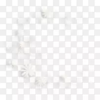 天身珠宝-白色花朵-空若网 天身珠宝-白色花朵-空若网