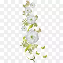 花卉设计手绘花卉-空若网 花卉设计手绘花卉-空若网