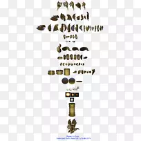 树型树-空若网 树型树-空若网