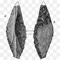 叶对称-空若网 叶对称-空若网