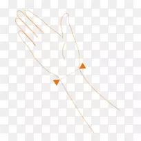手指羽毛喙设计-空若网 手指羽毛喙设计-空若网