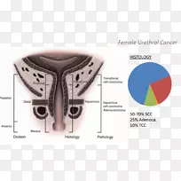 ����ܰ�������������װ�-Լ�����ս�˹ҽԺ-������