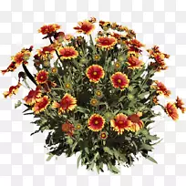 花卉设计,切花,花束,花卉-空若网 花卉设计,切花,花束,花卉-空若网