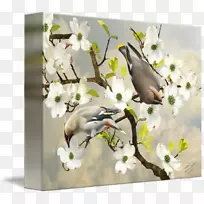 樱花花卉设计动物-樱花-空若网 樱花花卉设计动物-樱花-空若网