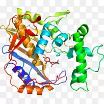 直线点生物动物剪贴画线-空若网 直线点生物动物剪贴画线-空若网