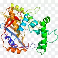 �����߶����������-������