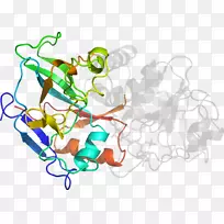 线点树剪贴画线-空若网 线点树剪贴画线-空若网