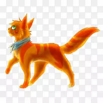 猫狗,犬科,鼻子,尾猫-空若网 猫狗,犬科,鼻子,尾猫-空若网