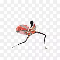 �����װ���-������